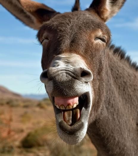 11இப்படித்தான் உலகெங்கும் பொதுத்துறை மற்றும் தனியார்துறைகளில் எதுவும் செய்யாமலே படம் காட்டுபவன் பிழைத்துக் கொள்கிறான். வேறெதுவும் தெரியாது வேலையை மட்டுமே செய்பவன் பாதிப்புக்கு உள்ளாகிறான்.