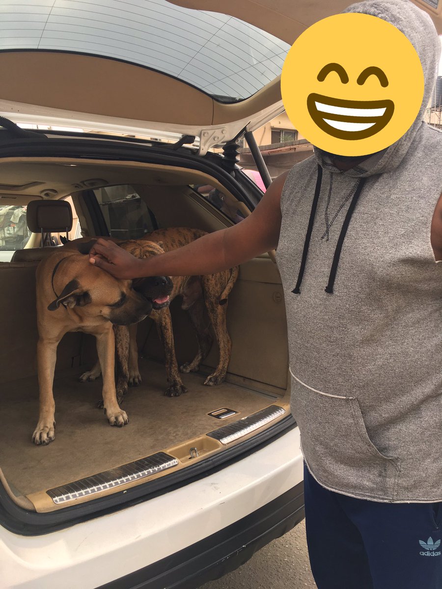 The end! Thank you so much everyone, I honestly can’t thank you enough for making all this possible! Wishing you all an amazing day and weekend ahead! Remain blessed.