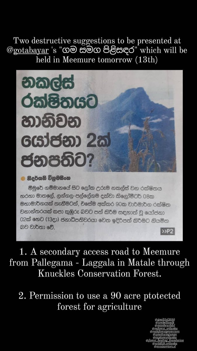 cansrilanka's tweet photo. @GotabayaR to visit Meemure tomorrow. Please, please don't make any decisions that will destroy Knuckles #Worldheritage . #saveourforestssl #lka #ClimateActionNow #conservation #meemurenow
@wnpssl
@XRebellionLK
@RARE_SriLanka
@leopocon
@ForestSri
@TrunksNLeaves https://t.co/fPmL090Lac