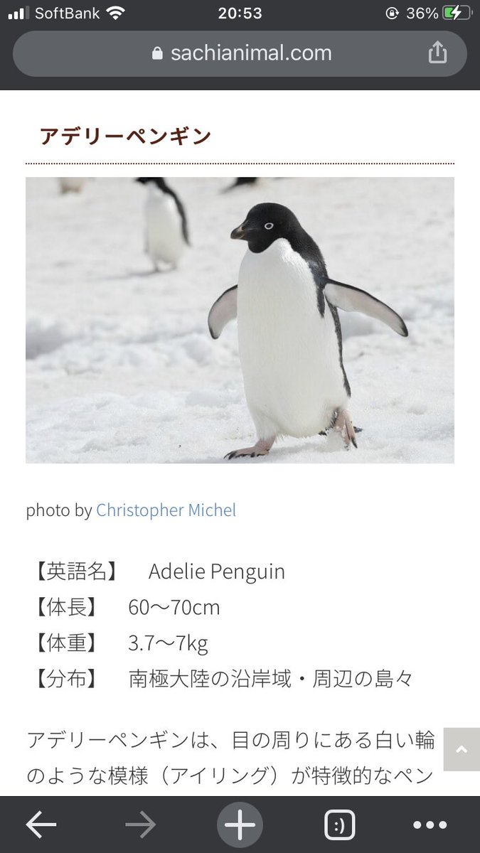 南極大陸 映画 最新情報まとめ みんなの評価 レビューが見れる ナウティスモーション