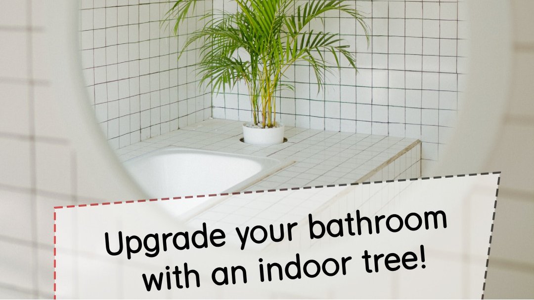 DMConstruction's tweet image. Trees have transformative power. They can truly bring a dull area to life and they can also add style to the bathroom. Place one in the corner.
Visit bit.ly/2Hu69AI!
#bathroomtiles #bathroomdecor #bathroomremodel #bathroomgoals #bathroomaccessories