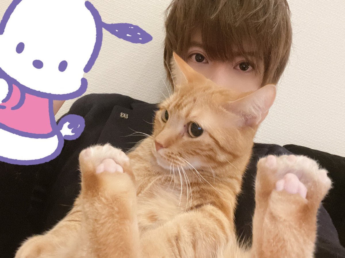 正規認証品!新規格 すとぷり さとみくんのルームウェア aaramrodrigues