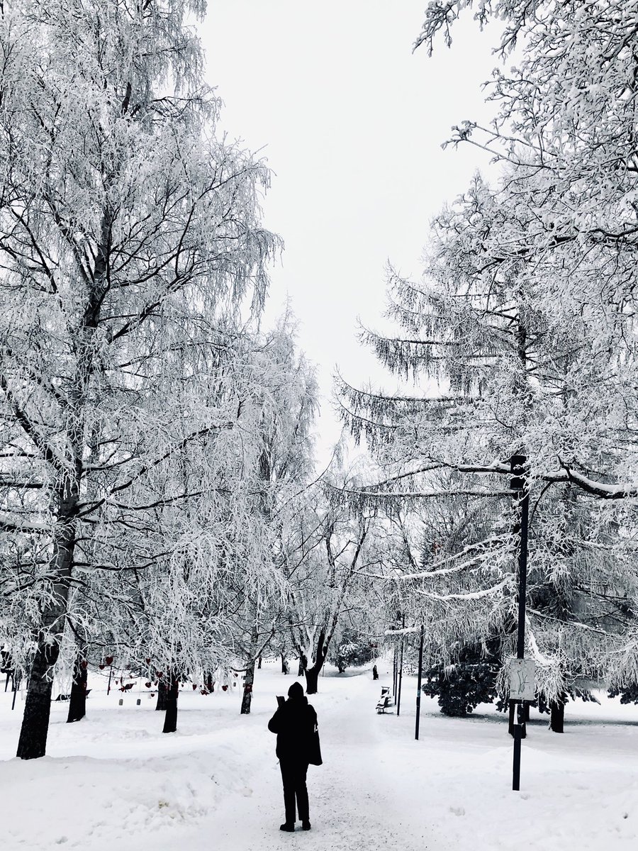 これもリアルなフィンランド フィンランド タンペレ本日の景色 木々が雪で白くなってとてもきれいです フィンランド 風景 雪景色 海外 海外旅行写真見て旅行した気になろう 北欧に行きたい気持ちを満たそう 北欧 ヨーロッパ これもリアルなフィンランド フィンランド タンペレ本日の景色 木々が雪で白くなってとてもきれいです フィンランド 風景 雪景色 海外 海外旅行写真見て旅行した気になろう 北欧に行きたい気持ちを満たそう 北欧 ヨーロッパ