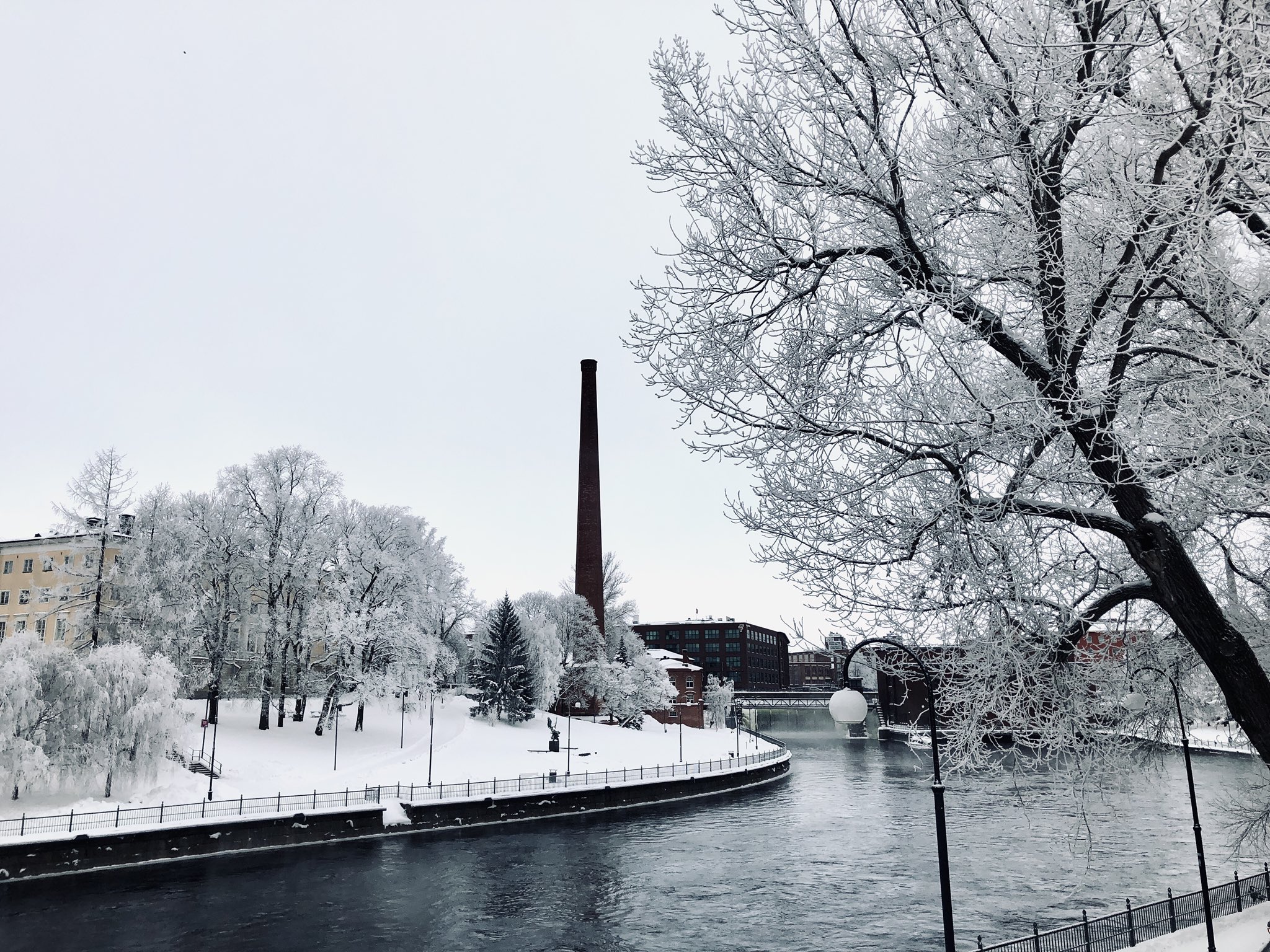 北欧で芸人 Gen Takagi これもリアルなフィンランド フィンランド タンペレ本日の景色 木々が雪で白くなってとてもきれいです フィンランド 風景 雪景色 海外 海外旅行写真見て旅行した気になろう 北欧に行きたい気持ちを満たそう 北欧