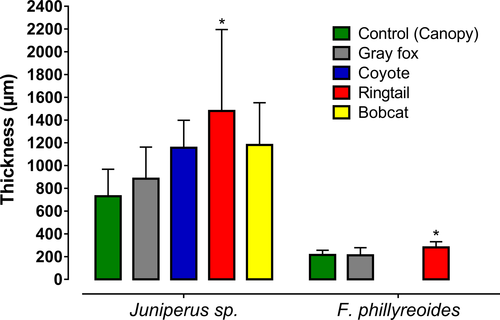 claudiawultsch's tweet image. Seed dispersal by #carnivores in temperate and tropical dry forests

#wildlife #poopscience #ecology @Ecol_Evol 

onlinelibrary.wiley.com/doi/10.1002/ec…