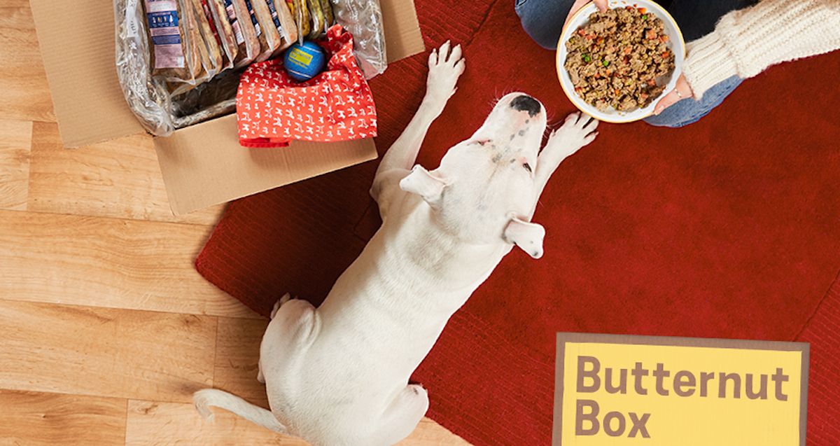 DadinPaws's tweet photo. Putting the #love back into your #dogfood this #ValentinesDay!! Ask us about #butternutbox we have all the information you need about this #health #nutritious box of goodies. https://t.co/KMouR12K2t @DadinPaws https://t.co/57r4Gqpnor