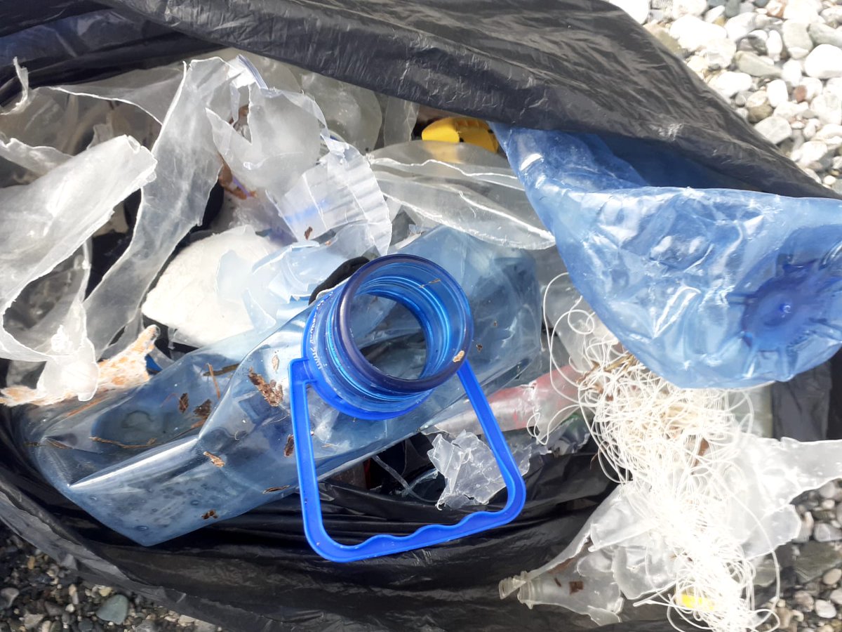 SharonBozkurt's tweet photo. We call this #beach "Dead #Snorkelers #Cove" because of all the #snorkeling gear we find but thinking we should rename it "Hair Band #Bay" (over 100 found) or maybe "#Plastic #Plaj"

#singleuseplastic #beachcleanup #nature #environment #coronavirus  #Turkiye https://t.co/MxX4G91czy