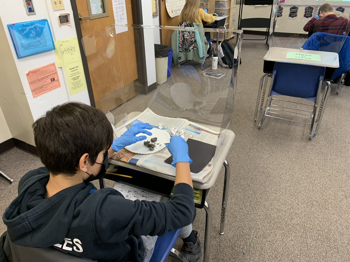 Owl pellet dissection for students at home and at school!  <a href="/RooseveltD64/">RooseveltD64</a> #engaged64