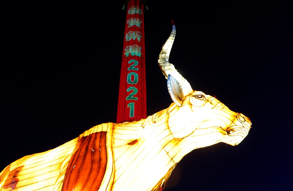 May the allegory of the Niu be a symbol for the year #2021.  #HappyChineseNewYear! 5/5