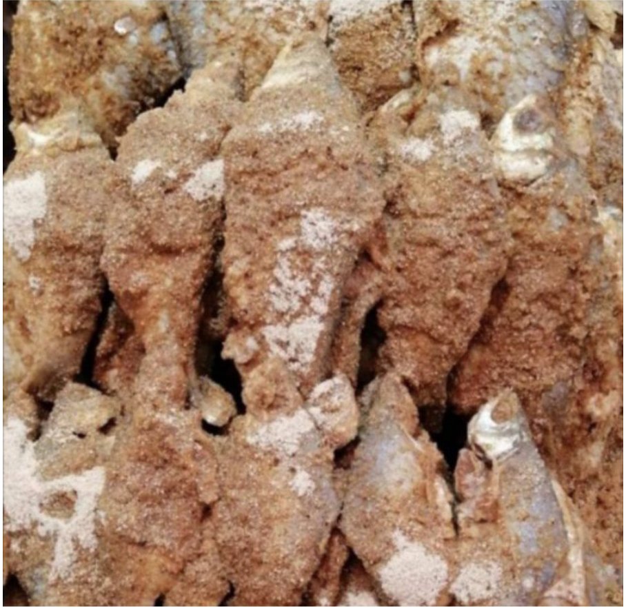 Ada yang cari IKAN PEKASAM??? Say no more, fam..Ada berjenis-jenis ikan pekasam ya, ada lampam, talapia, sepat, puyu, belanak, gelama, kembong. Ha masokkkk!!Shopee link :  https://shp.ee/4p3psm4&nbsp;