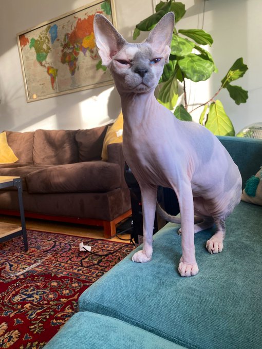 good morning from us https://t.co/Gi6B1qBwTE