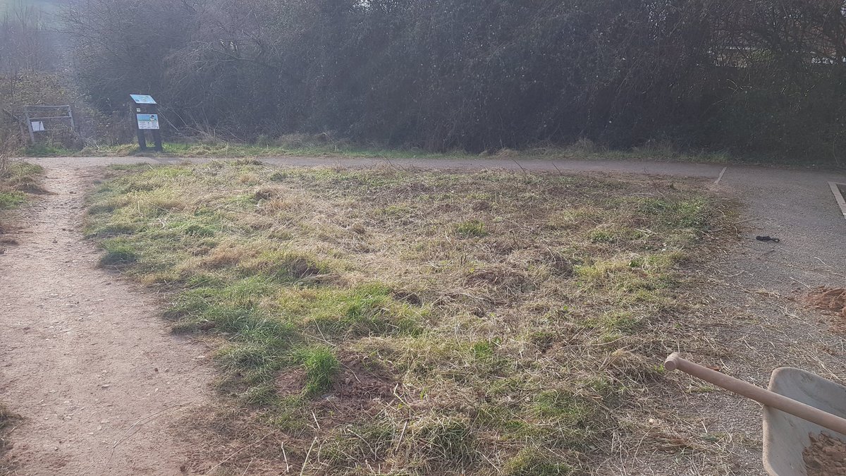 HenllysLNR's tweet photo. Well, took me about 20 mins to do our annual #cutandcollect of our 2016 #NaturalBuzz @wildflowerturf area. By #scythe & #rake. It has so far outperformed the sowing route. #volunteering https://t.co/36HEGSC1P9