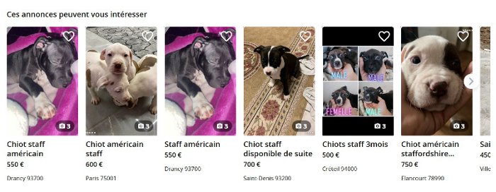 Chatmania_misty's tweet photo. Coup de gueule du jour! 😡
Comment se faire du fric sur le dos des animaux? En les faisant se reproduire!
Les annonces ci dessous ne sont qu'1 infime partie de celles trouvées sur le mauvais coin pour des chiots à vendre ou des demandes de saillie de prétendus particuliers! https://t.co/FxUkTe9FNv