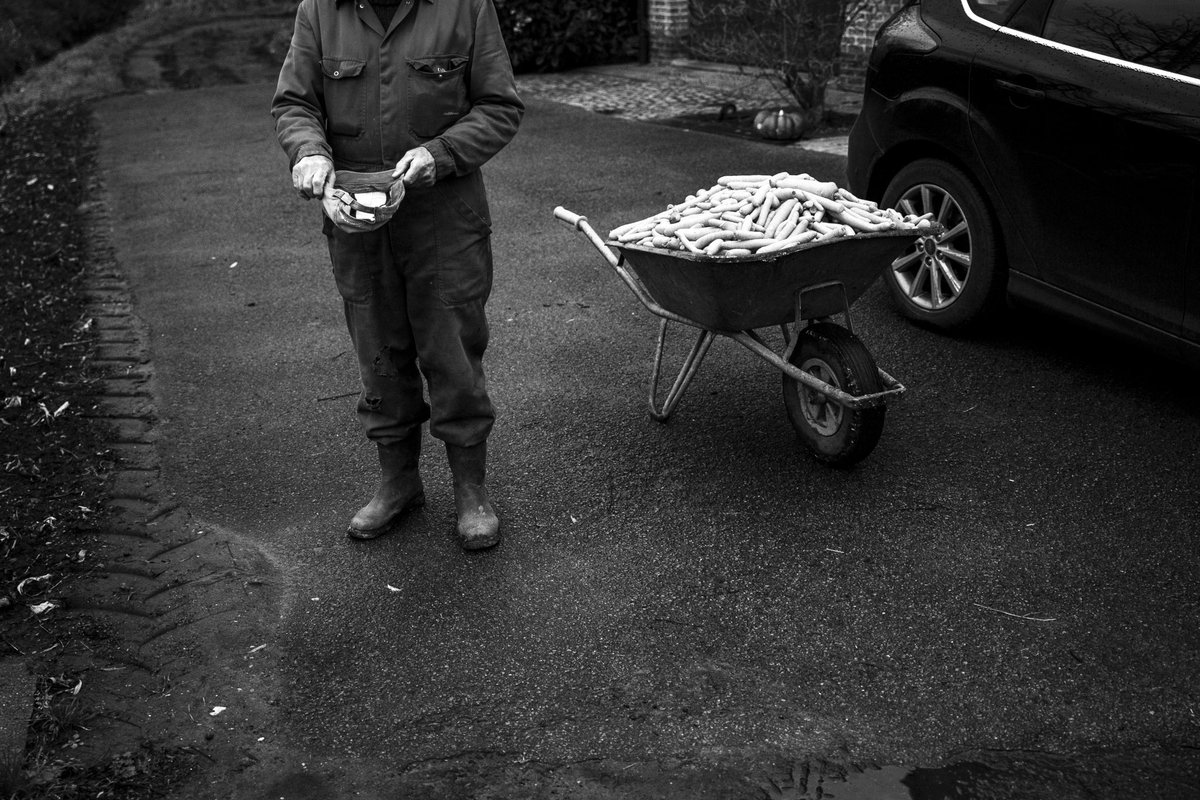 matthynsflo's tweet image. Oké ma dus morgen wordt er een reeks van mij gepubliceerd in De Tijd én ik had een 85/90 voor mijn eindwerkscriptie én ik ben er voor al mijn vakken door!!!!!! Begrijp niet wat er aan het gebeuren is maar ik ben zo gelukkig????