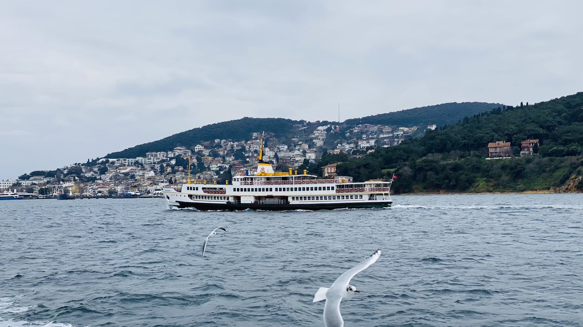 Bence İstanbul'un en güzel sembolü, 70 ve 80 model Şehir Hatları vapurları. Sadece bu şehre has; bu kadar güzel, şık ve gündelik yaşamda kullanılan başka bir obje, ortak payda var mı bilemiyorum. İzlemeye doyamıyorum.