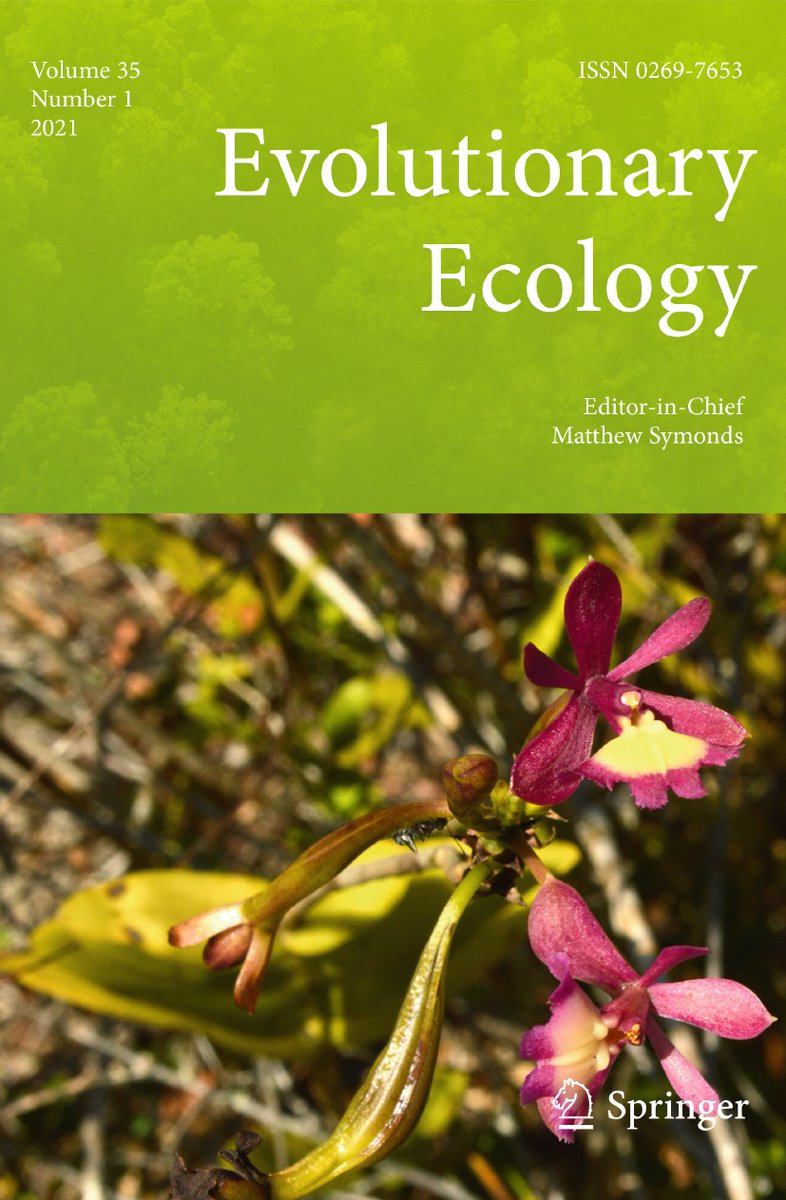 TMTSpringer's tweet photo. ๐ฅOFF THE PRESS #EvolutionaryEcology February (35:1) issue โญ๏ธhttps://t.co/zBDGb2IoeAโฎ๏ธ #SNEVEC #SpringerNature #phylogeneticdynamics #parasitism #predation #behavioralecology #plasticity #polymorphism #polyphenism #endosymbiont @evoecology https://t.co/AraltQNWrc