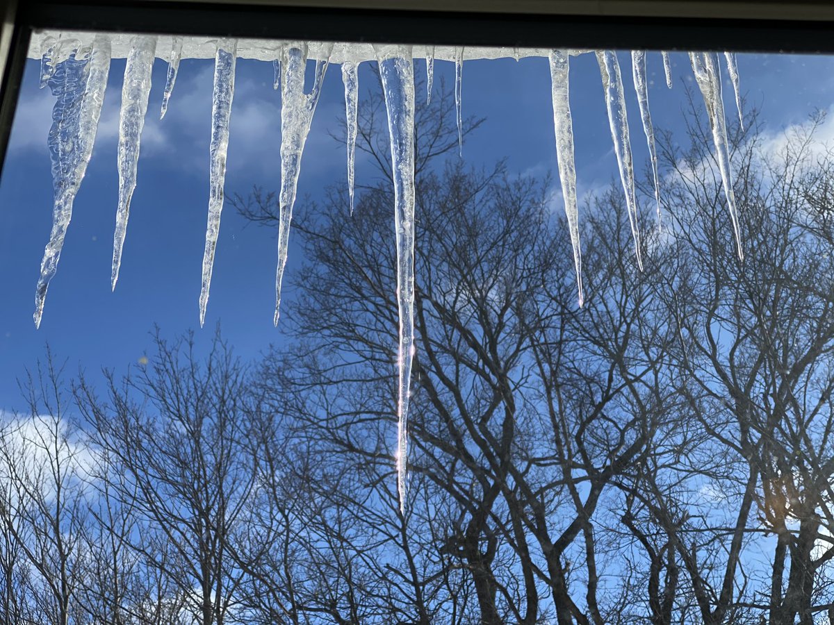 DocDellaire's tweet photo. Icicles 😍 #HalifaxWinter @CTVAtlantic @KalinMitchelCTV @weathernetwork @weatherchannel https://t.co/fQvM1FPQwx