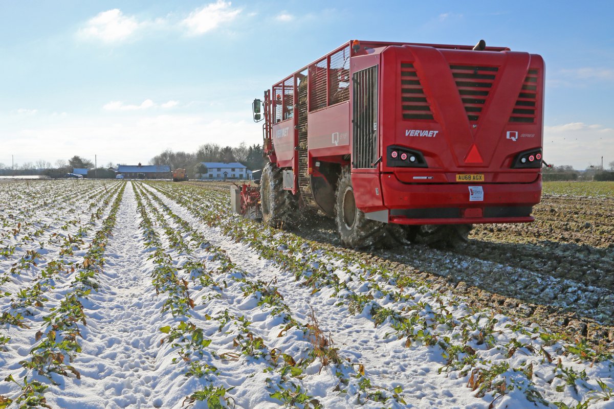 JRileyBeet's tweet photo. A very photogenic @FransVervaetBV Q-616 powers on through the #wintry conditions this week. 📸❄️
Have you managed to capture any seasonal photos of a #Vervaet at work? Please share them with us!
To arrange a #demo of the Q-616 please contact Matt Carse on 07825 631377. #sugarbeet https://t.co/ONB8YGknES