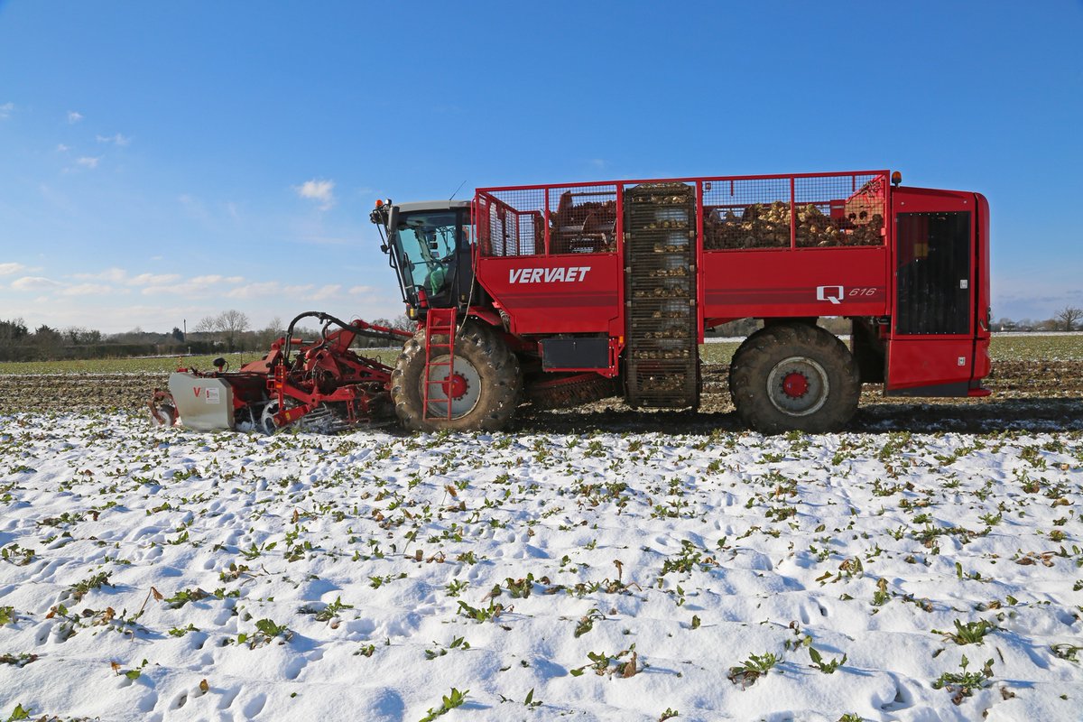 A very photogenic <a href="/FransVervaetBV/">Vervaet</a> Q-616 powers on through the #wintry conditions this week. 📸❄️
Have you managed to capture any seasonal photos of a #Vervaet at work? Please share them with us!
To arrange a #demo of the Q-616 please contact Matt Carse on 07825 631377. #sugarbeet