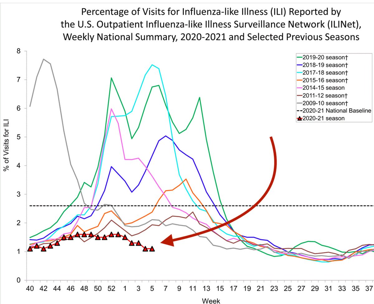 4. This is what a non- #flu season looks like. Kinda pretty, non? Of course,  #Covid19 is more than making up for the damage flu isn't inflicting, sadly.  @CDCgov's weekly flu report is here:  https://www.cdc.gov/flu/weekly/weeklyarchives2019-2020/Week06.htm