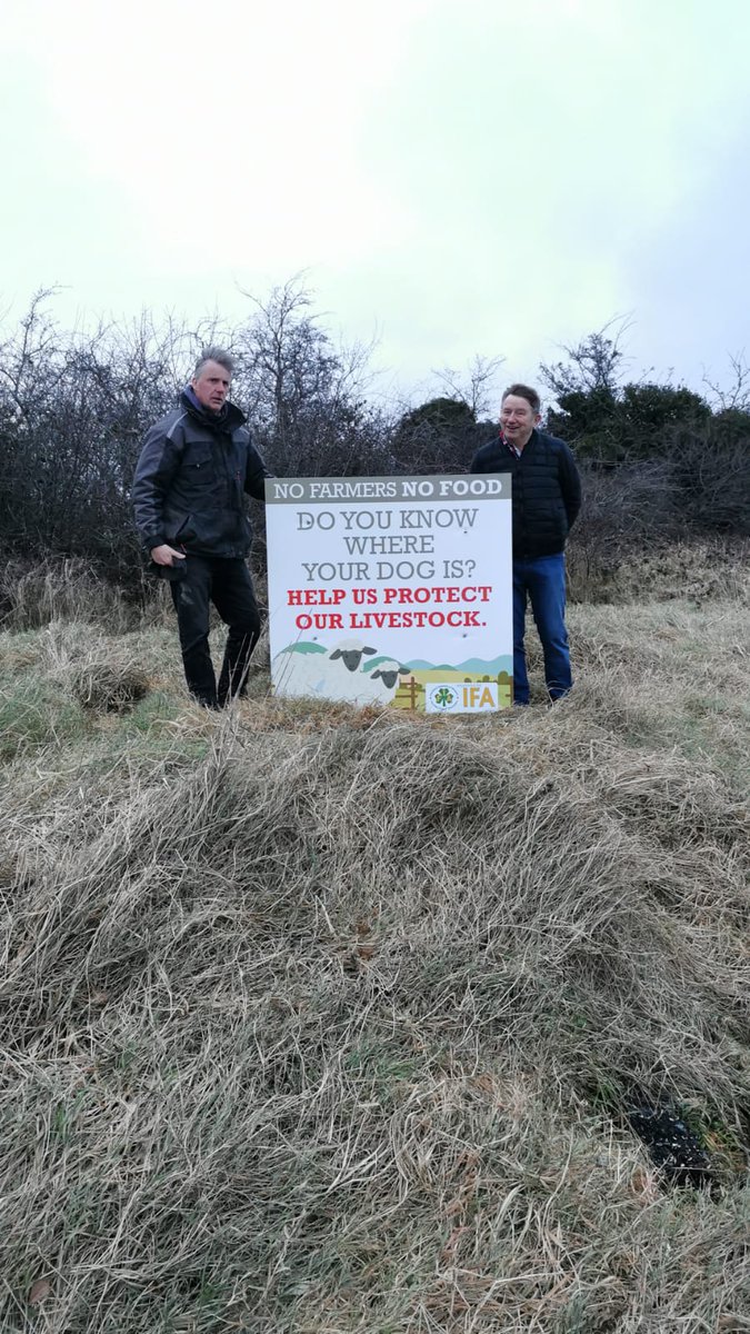 SlaneyTurlough's tweet photo. #IFAMonaghan continue their #NoFarmersNoFood Campaign! Farm Safety and Dog worrying of Sheep being brought to the fore
@IFAmedia @COPACOGECA @farmersjournal @AgrilandIreland @theNSMonaghan @NorthernSoundFM @farming_indo @RTECountryWide @rtenews https://t.co/AncHVsqoiz