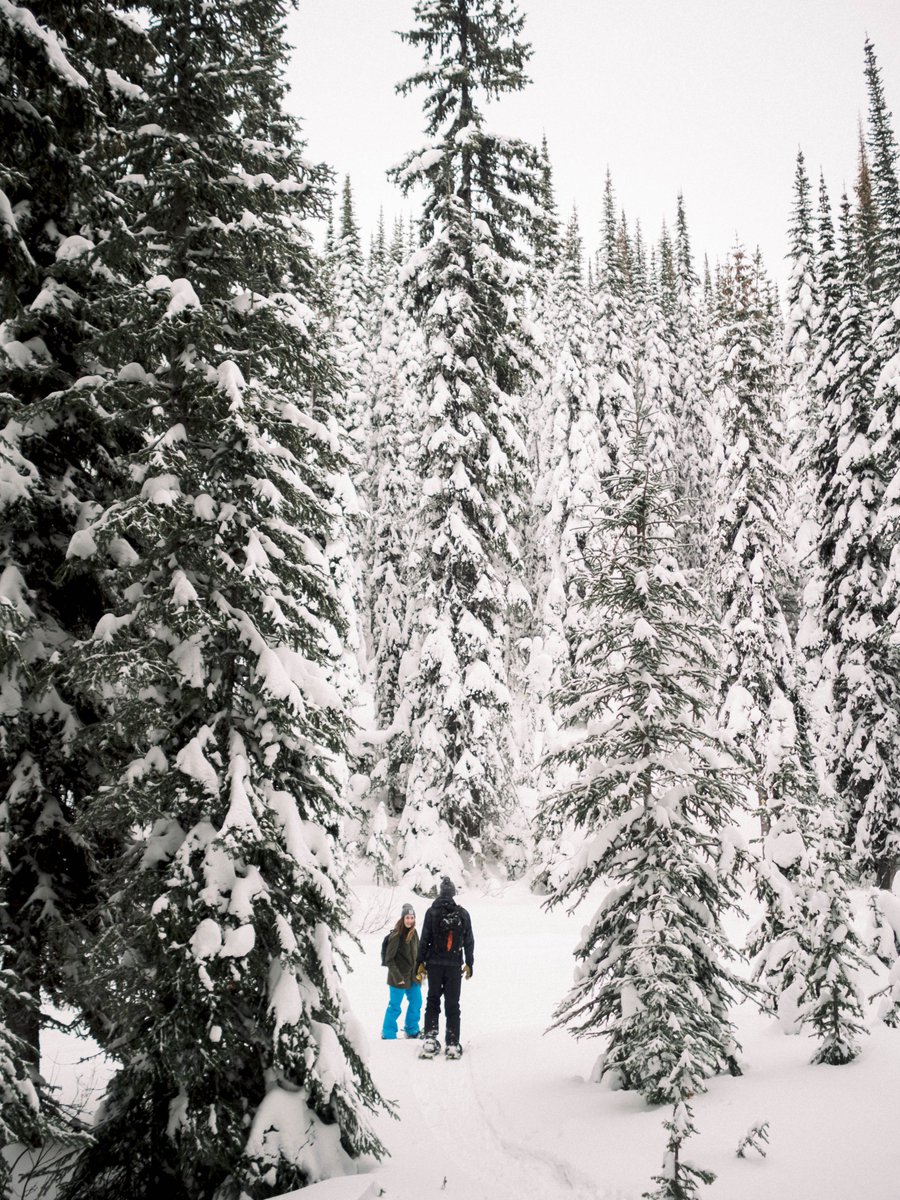 Sovereign Lake tweet media