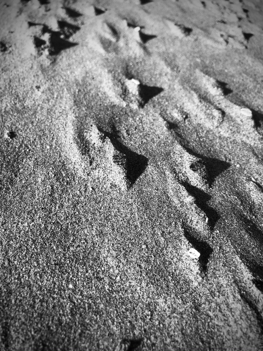 The force of raw North Cornwall this week ...energising and invigorating to nourish the senses. #nature and #ocean have never been more important to me than now. AND...beach icicles and weird sand shapes! 🥶