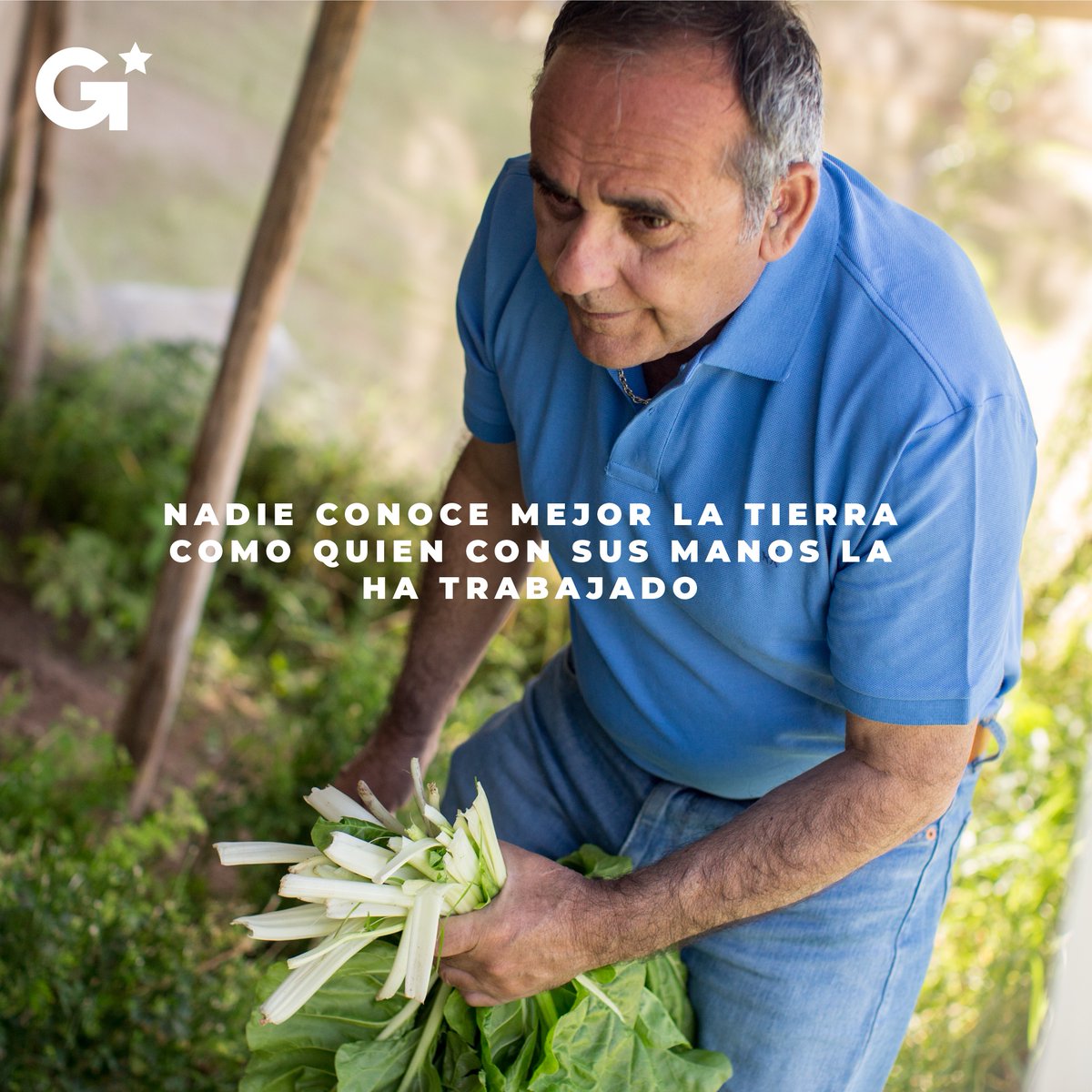 fernandoghiglin's tweet photo. He trabajado por la tierra de nuestra querida Atacama, tanto con mi mente y corazón en lo político, como con mis propias manos en agricultura y minería. Sé que la fuerza de nuestra región está en los hombros de sus trabajadores/as.

#Conocelatierra #Ghiglinogobernador https://t.co/Leb6Ukc7FV