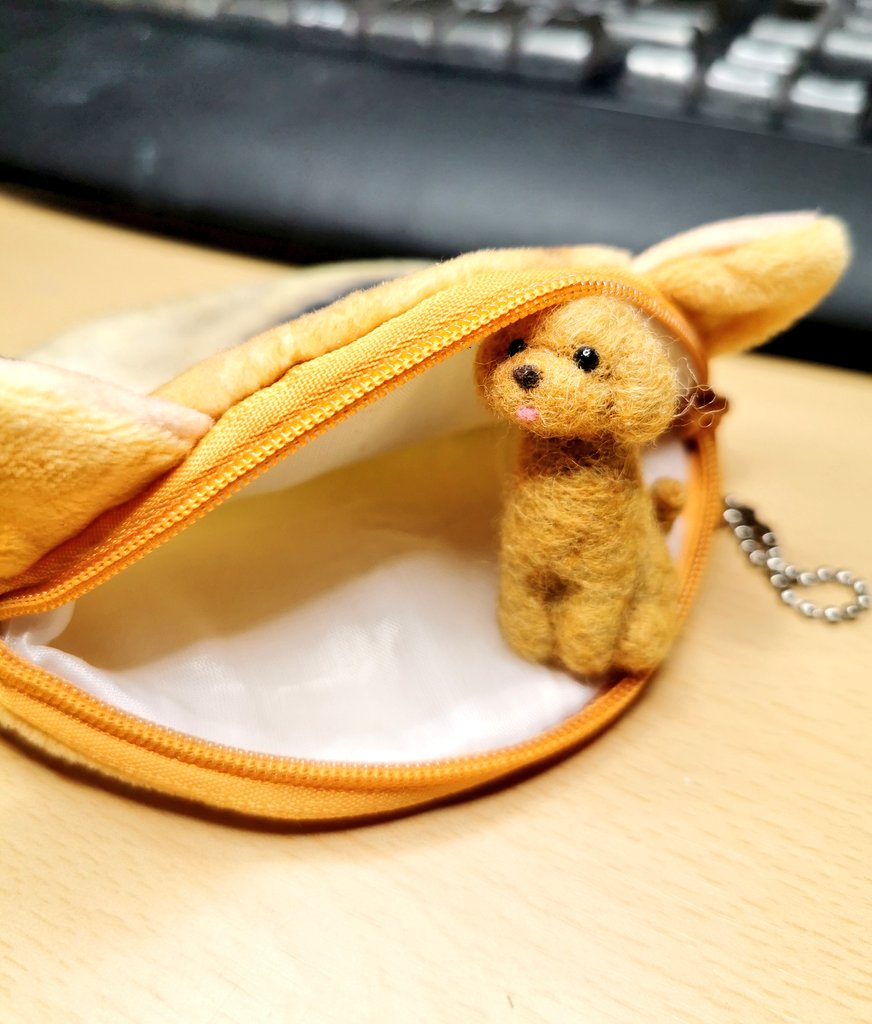 高騰しているドージコインのウォレット（財布）を持っているが、残念ながら中身は空っぽなのである