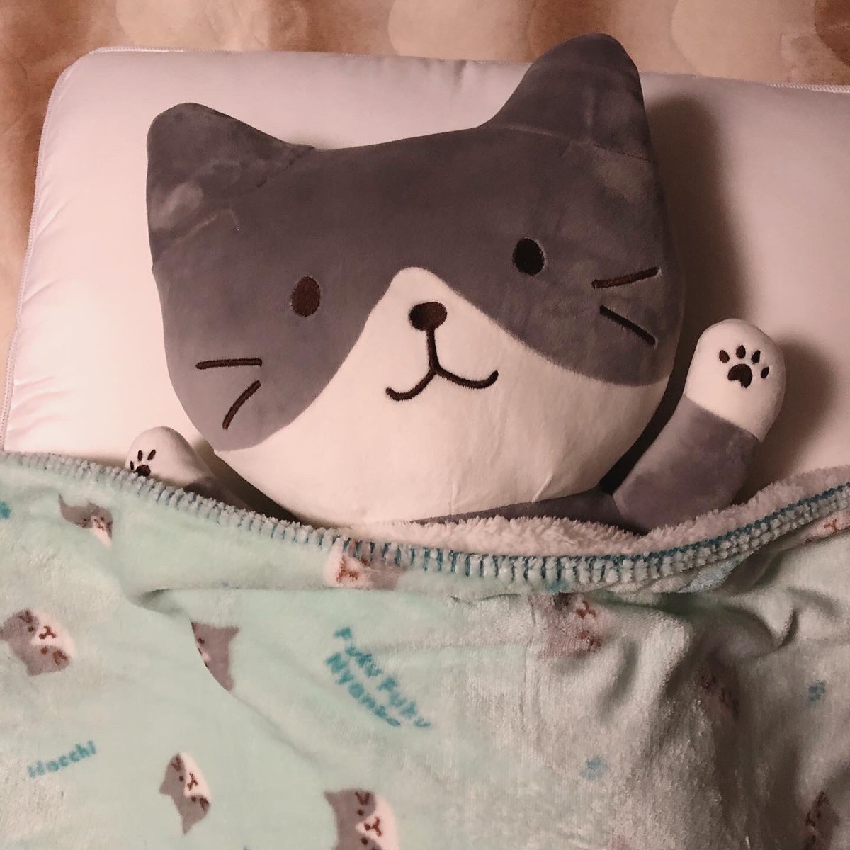 Blackstar ふくふくにゃんこのブランケットが安くなってたので即買いしました おかげでハッチにベッド占領されまくってます ぬくぬく 暖かそう ふくふくにゃんこ ふくふくにゃんこ集会 ブランケット ハッチがハッチの ブランケット 可愛い ベッド Blackstar ふくふくにゃんこのブランケットが安くなってたので即買いしました おかげでハッチにベッド占領されまくってます ぬくぬく 暖かそう ふくふくにゃんこ ふくふくにゃんこ集会 ブランケット ハッチがハッチの ブランケット 可愛い ベッド