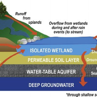 First off: "isolated" wetlands is kind of an oxymoron, like "jumbo" shrimp. “Isolated” wetlands are often connected to groundwater (a major source of drinking water for many Hoosiers) and they store snowmelt/rainwater that ensures future water supply (: Golden et al. 2014)