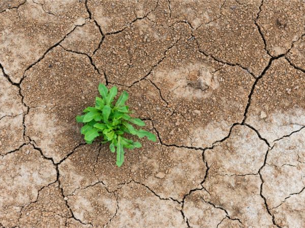 Marqit Nederland tweet media