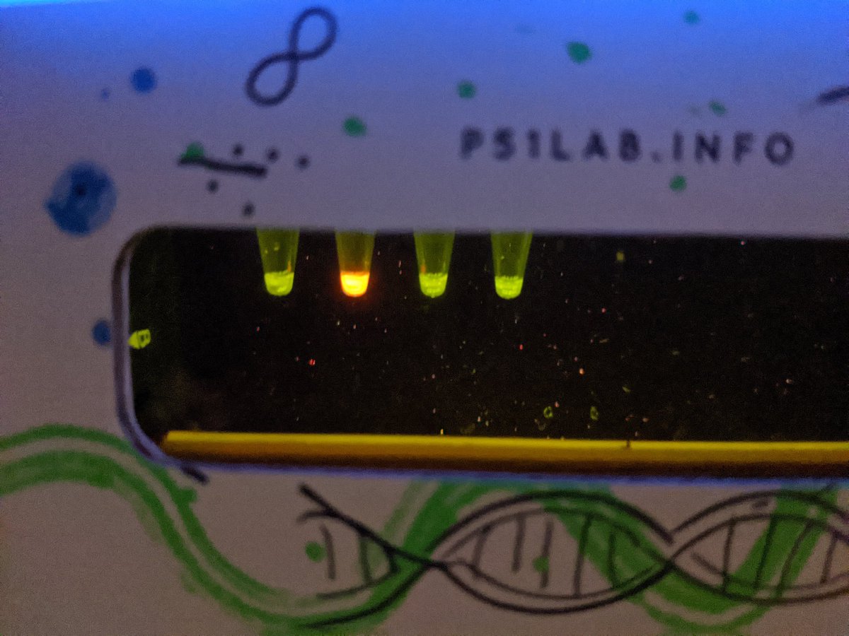 AP bio students loved doing <a href="/biobitsproject/">BioBits®</a> at home! Thank you <a href="/MassInsightEdu/">Mass Insight</a> and <a href="/MALifeSciences/">Massachusetts Life Sciences Center</a> for this amazing opportunity for hands on learning in this difficult time. <a href="/ebhs_science/">EBHS Science</a>