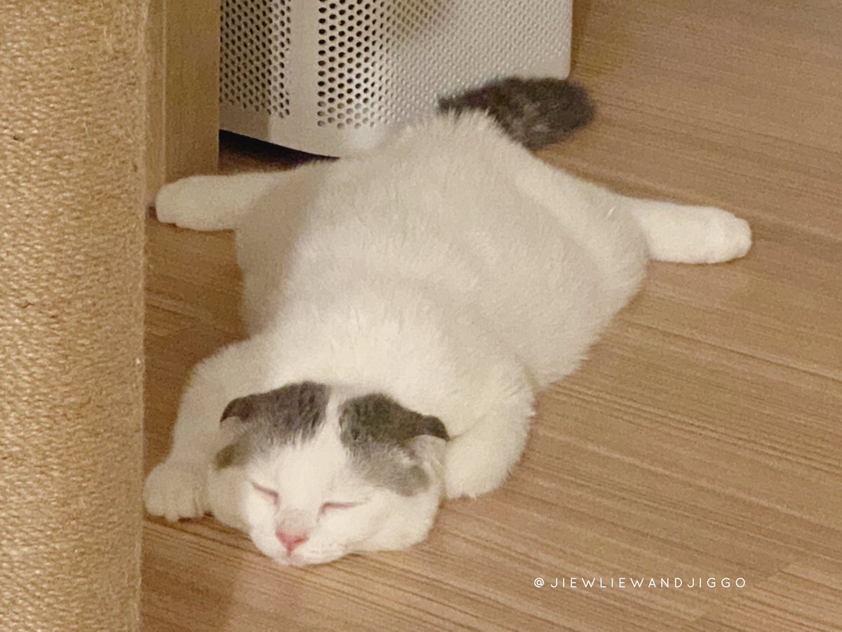 มันจะต้องมีตัวนึงแหละ ชอบไม่เหมือนชาวบ้านนน