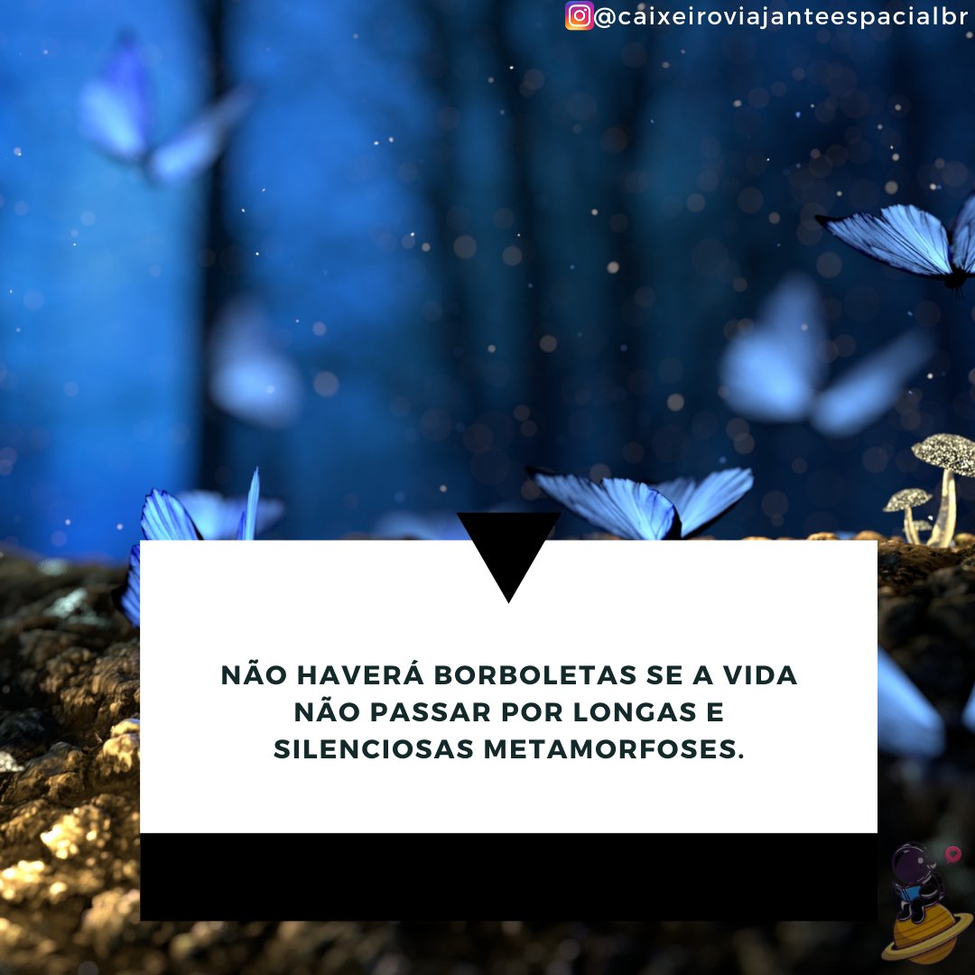 BrCaixeiro's tweet photo. Não haverá borboletas se a vida não passar por longas e silenciosas metamorfoses.

#frases #frasesinspiradoras #frasesmotivacionais #frasespositivas #amor #vida #sucesso https://t.co/gry9gRSWCv