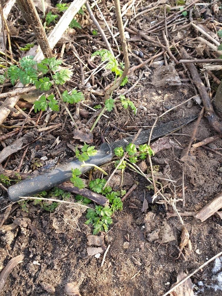 MerseyPolice's tweet photo. SEARCH | We recovered paintball 'grenades' and knives during an open land search in #Huyton today, Friday 12th February. Have you got info about weapons being used or stored in your area? DM @MerPolCC or @CrimestoppersUK and tell us about it. https://t.co/nWH45lQQhR https://t.co/vY0O63Qvxd