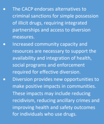 also, "diversion" sounds really police statey with the integration and i don't like thisto decriminalize is not to pathologizewhat "diversion measures"?