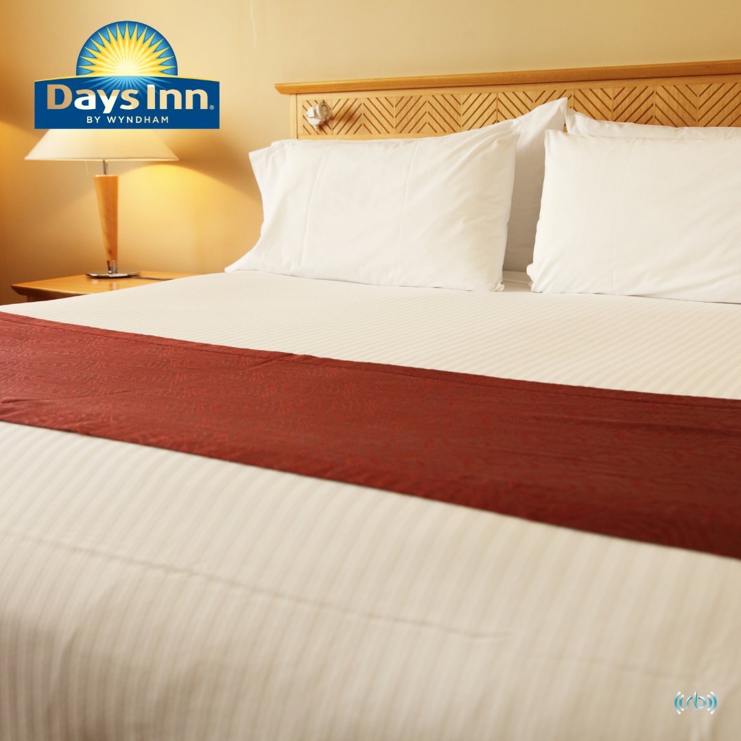 DaysInnBryanCS's tweet image. Looking for the ideal family friendly-hotel with tons of perks?

Here at the Days Inn Bryan College Station we pride ourselves on a exciting, hospitable, and affordable guest experience!
#daysinn #daysinnbryancollegestation #daysinnbywyndham #collegestation #tx #hotelier
