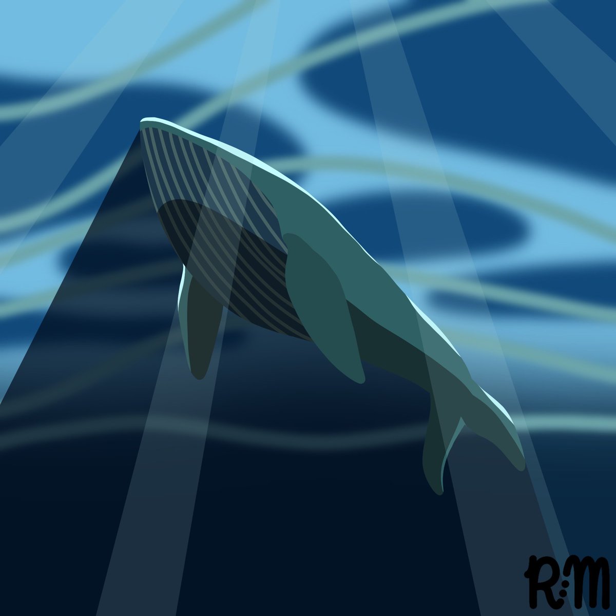 Ryutarom シロナガスクジラ イラスト くじら Whale Ryutarom シロナガスクジラ イラスト くじら Whale