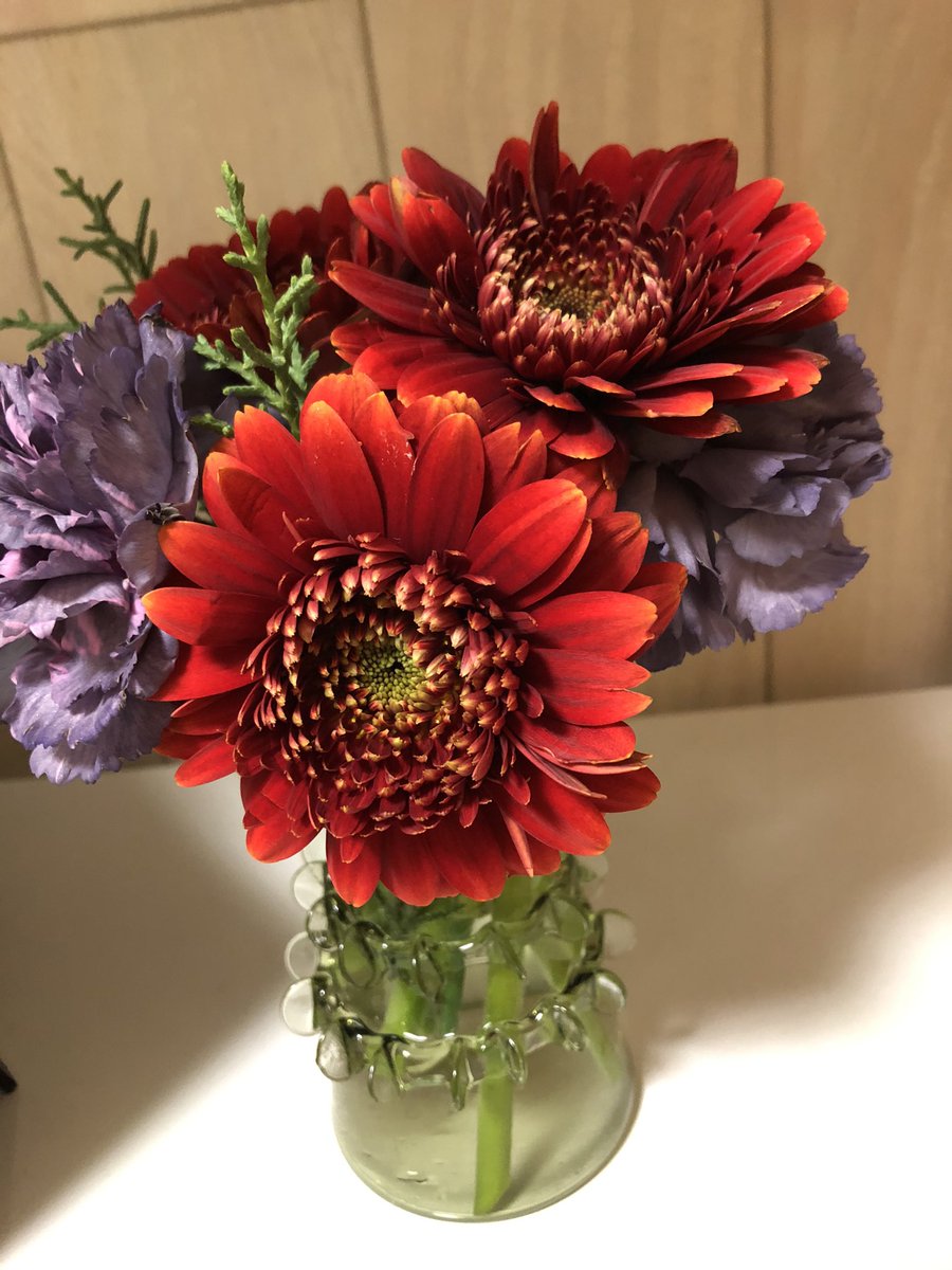 Flower على تويتر 今日持ち帰ってきた 赤いガーベラ 八重咲きの濃い朱赤色のガーベラ 入荷後2日しか経ってないのに なんか気になって売る気にならずに持ち帰ってきて 部屋に飾りました 表から見た顔は傷もなく可愛いしインパクトのある顔なのに 裏側がどうも Flower على تويتر 今日持ち帰ってきた 赤いガーベラ 八重咲きの濃い朱赤色のガーベラ 入荷後2日しか経ってないのに なんか気になって売る気にならずに持ち帰ってきて 部屋に飾りました 表から見た顔は傷もなく可愛いしインパクトのある顔なのに 裏側がどうも
