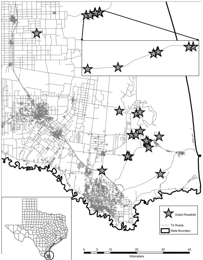 TMTSpringer's tweet photo. #Landscapepatterns of ocelot–vehicle #collisionsites 🐈https://t.co/k8YGmgZJbx🐈 #SNLAND #SpringerNature #LandscapeEcology #ocelot #wildlifecrossingstructures @iale_na @AnnieeMariee94 @amanda_veals @HumbertoPerotto https://t.co/jVKG2JJ7vF