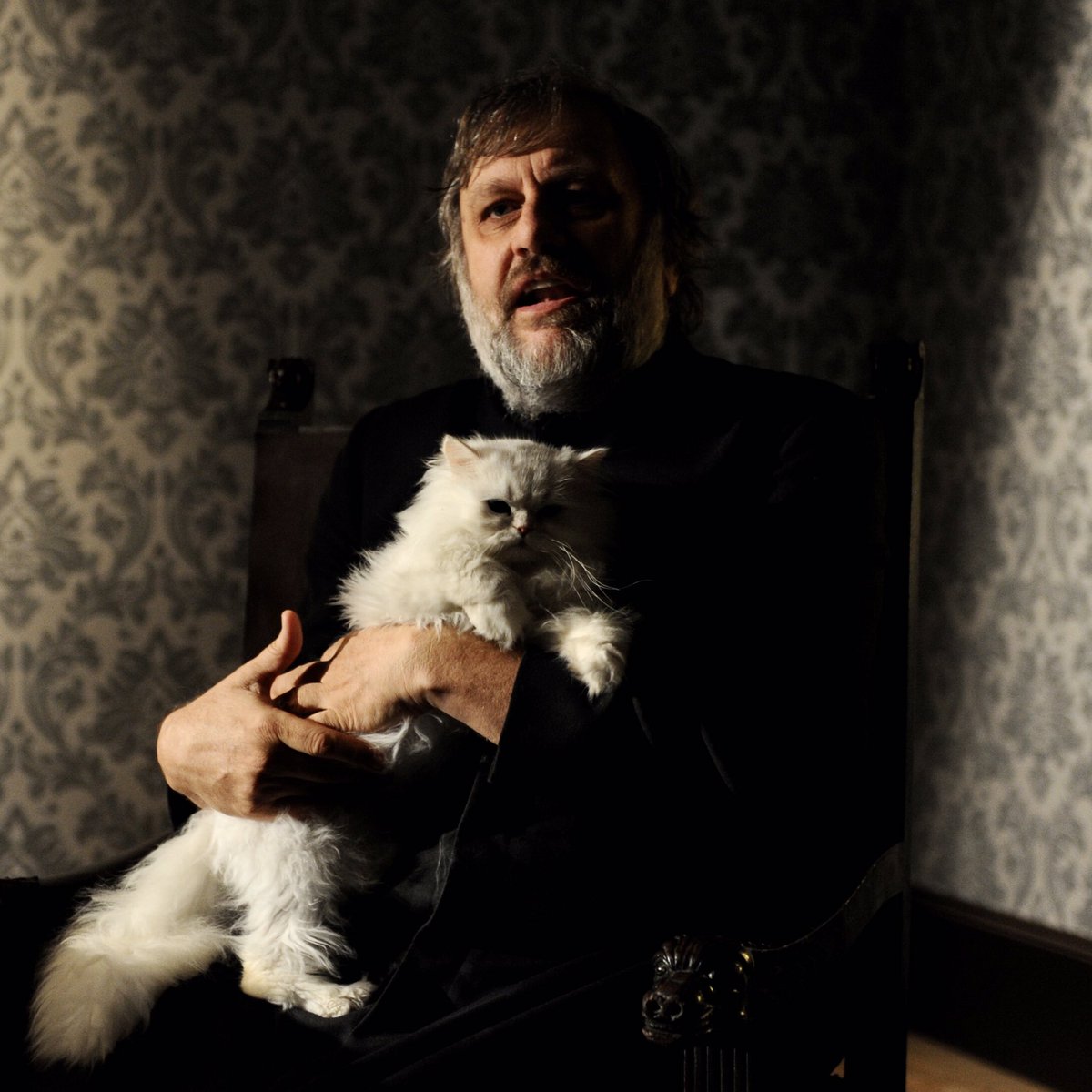 Киногид извращенца. Slavoj Zizek. Славой Жижек и кот. Славой Жижек мемы. Slavoj Zizek в Москве.