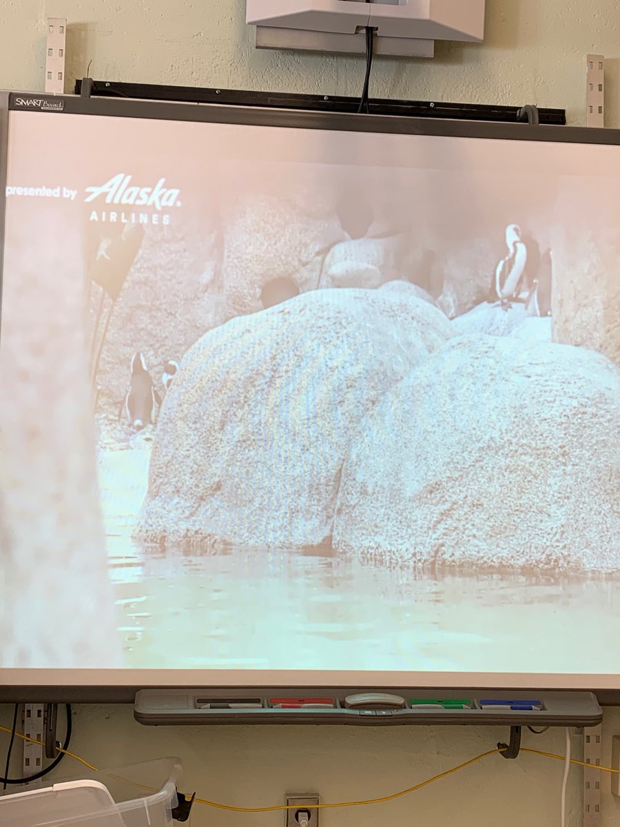 Puzzles, #Breakouts, Zog Hotel - oh my!  Lots of problem solving going on in Horizons today!  Not to mention some penguin watching! <a href="/WWP_Dalers/">WWP_Dalers</a> <a href="/JenniferJOlsen/">Jennifer Olsen, Ed.D</a>