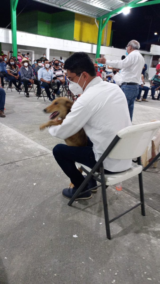 ErickReyesLeon's tweet photo. Con mi amigo 🐶 campechano, atento a la visita de @LaydaSansores a Sabancuy. Muy buenos días ☀️ ya es viernes y nos espera agenda intensa. Un gusto y honor poder caminar a lado de una mujer extraordinaria e incansable, los campechanos no se arrepentirán! https://t.co/CQ0fO1BRxY