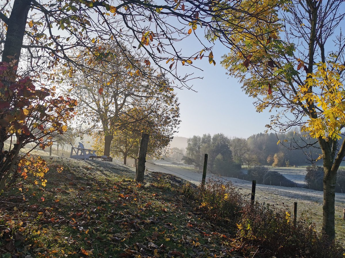 bashoogland's tweet image. SUPER last Minute:
MIDWEEK in vakwerkboerderij "Lomberg" aank. maandag a.s op basis van 4 pers/2 slaapkamers/4 nachten
ALL IN € 695 incl.bedlinnen, opgemaakte bedden, handdoeken.
res.via deheerlijkheidvijlen.nl