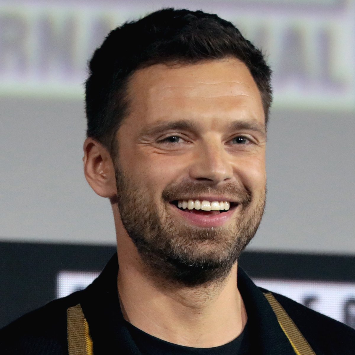 sebastian stan but as you scroll he gets older: