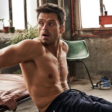 sebastian stan but as you scroll he gets older: