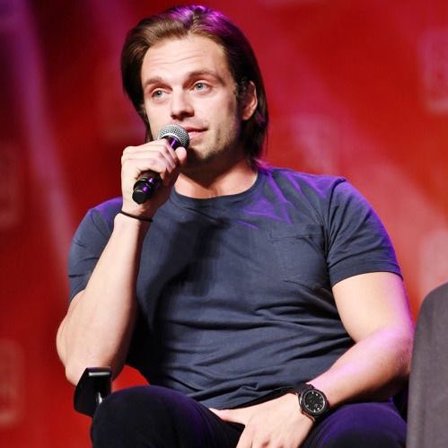 sebastian stan but as you scroll he gets older: