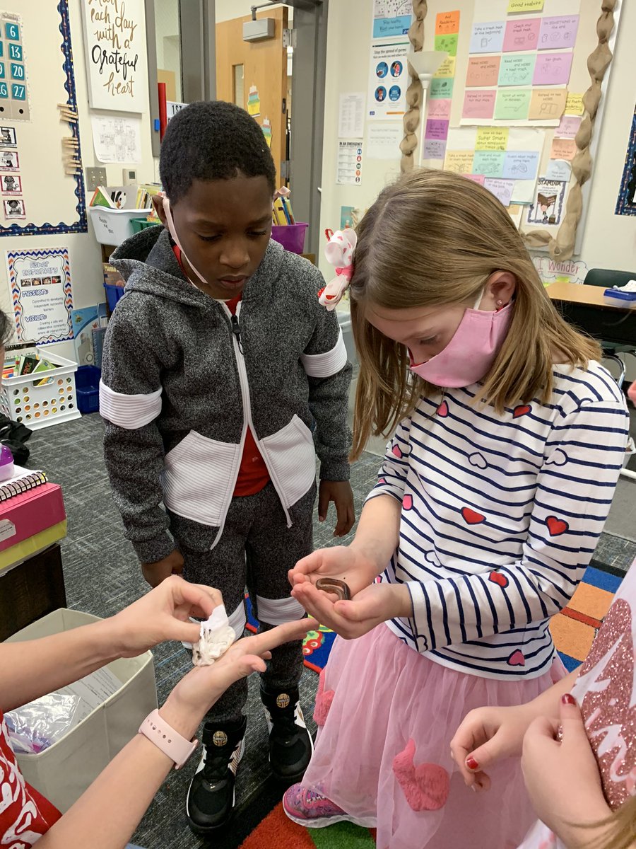 NielsonBritany's tweet photo. Worms in 1st grade!!! Learning about living and non living! @FisherElem #wormsarecool https://t.co/XMXAVr3owC