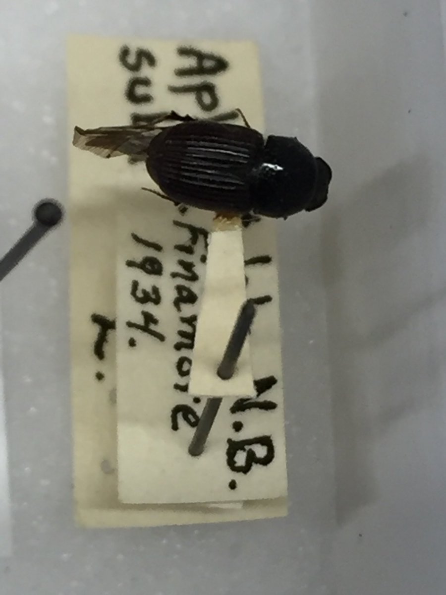 Max Barclay tweet media